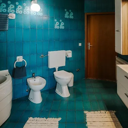 Kiwi Apartment