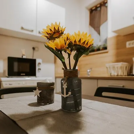 Kiwi Apartmán Koper