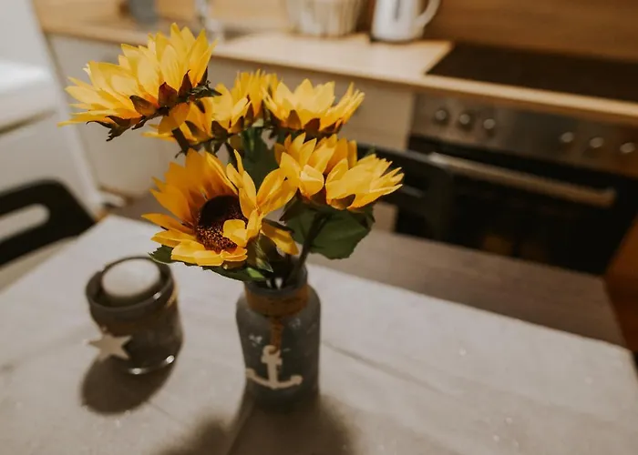 公寓 Kiwi 科佩尔